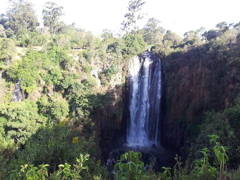 Thomson's Falls